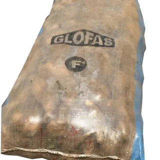 Sweet Potato - Bag - Lagos