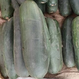 Cucumber - Big - in group of 10