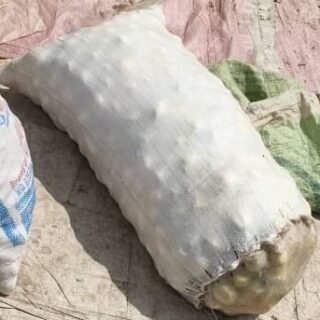 Garden Egg - 50kg Bag - Abuja