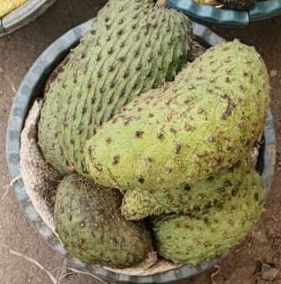 Soursop 4