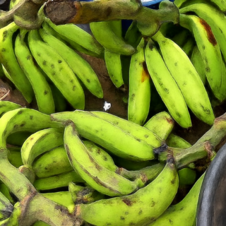 Plantain for sale