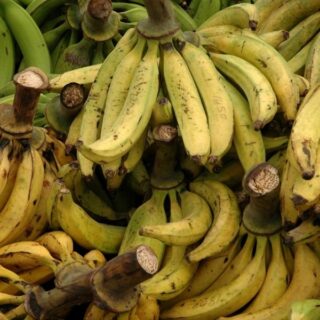 Plantain - Abuja 2