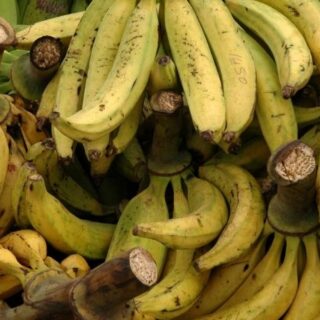 Plantain - Abuja 2