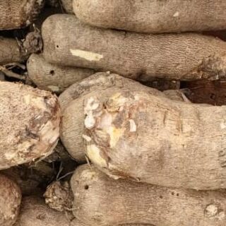 Buy Yam - medium - in group of 10 tubers - Abuja